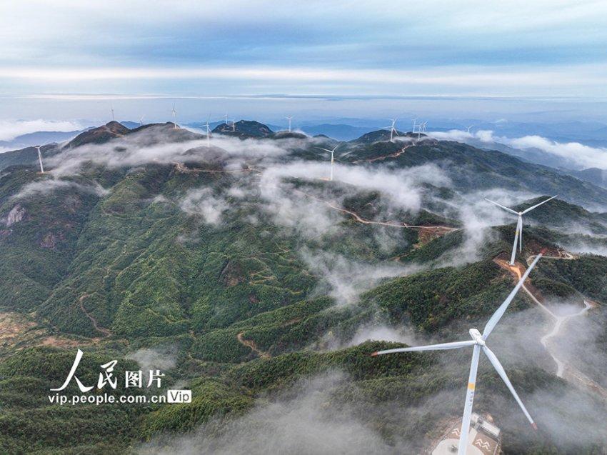 叶罗丽：薇夫人和武神凌组合闹翻，齐娜上分难，茉莉成了关键人物